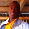 user71181721375697