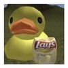 rubberduckytherex