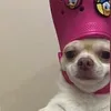 hhuhhuooae