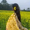 abir.hawladar30