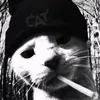 xiancarlsatuito2