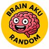 brain.aku.random
