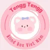 tenggtenggblindbox