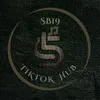 Solid Block TikTok Hub
