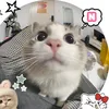 bao.nguyn122
