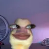 dauthuyduong_hjl_yhx_010