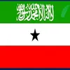 ilkajiir1218