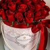 muhammadilyas5516
