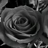 user1048410380421