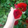 user5837524883126