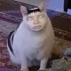 pvyyeumeo