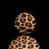 rasha_kaabnah17