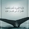 user3780623597968