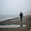 yanlz.yryen