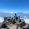 widi..shankara