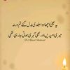 aliya.g.aliya.g