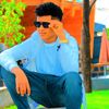 werku862
