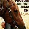 elcaballorojo_465..64fg