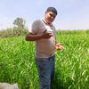 rafat.mohammed18
