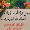 user7531761332233