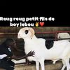 salioudioplepetiteleveur