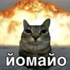 nikysyaqaa228