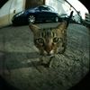 weirdoguy37