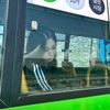 naz665951