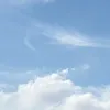 tiktok_andaubuoi_np