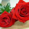 user219901387917
