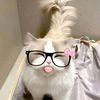 siff_jky