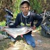 fajar.bahari67