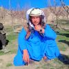 alamgul.shawken