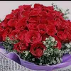nt.liu38