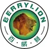 Dụng cụ cầm tay BerryLion