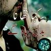 ibrahimwarraich803