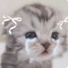 yu.z0_