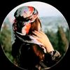 user25102903398713