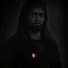 noov229