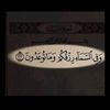 user1610737929832