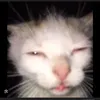 _aleatoria980