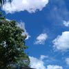 lepoq.kenya01