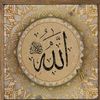 user307981616
