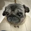 ТГК: itsmartalife