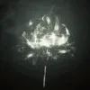 snc.fanedits