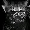 mnd_mndaa