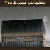 user7071863905340