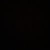 elouzi_75