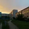 viktne