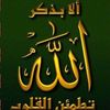 mahmoud.saleh.ahmed